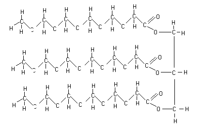 Fats-1