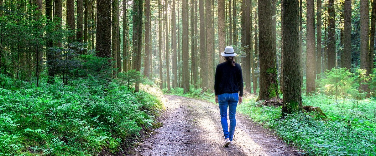 mindful walking in nature