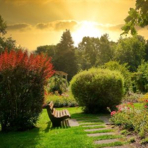 Peaceful garden